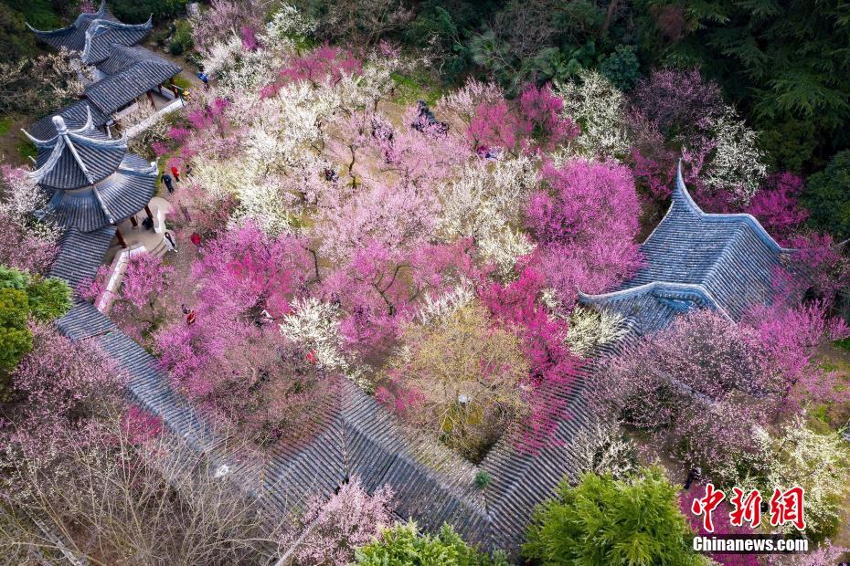 澳门六彩开奖结果网站，青浦志愿者坠楼事件引发广泛关注