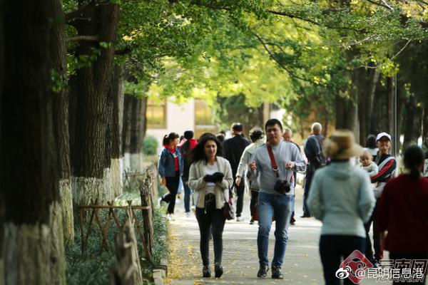 二四六蓝月亮料精选资料大全，酒泉旅游景点大全,探索美丽的沙漠绿洲与历史遗迹